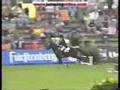 Video Cso À Cheval