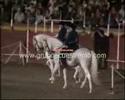 espectaculo-ecuestre-basilio-mateo.html