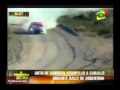 Car Accident with horse in a Rally Race