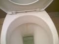 Tower Resteraunt Glenelg -Toilet