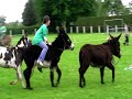 course de baudets - Thumb #3
