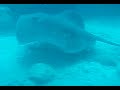 EXTREME WRECK DIVING !!!! -  CANARY  ISLANDS
