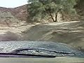 RovrFlo Rocks And Jarell Curve