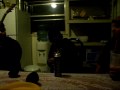DiS Be My UnClE TiNGi JaMMiN On Da UkE...LoL
