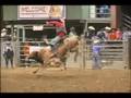 Bull Riding Part 14
