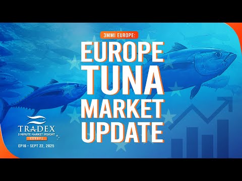 3MMI Europe: Europe Tuna Market Shift: How EU Buyers Are Moving Beyond Fresh