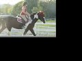 Ozzy Over Cavaletti!