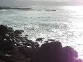 north shore beauty