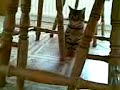 Play time