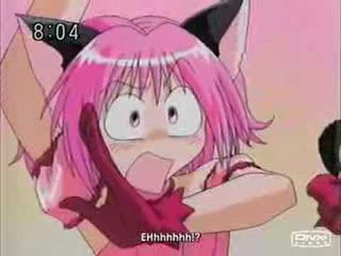 Tokyo Mew Mew VS. Mew Mew Power