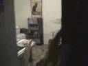 caught in the act