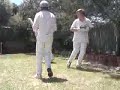 Backyard Cricket Championship - Game 3 - Mills vs Riles