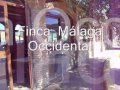 capeas en fincas de malaga: www tucapea com