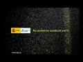 Campaña cinturon Semana Santa DGT