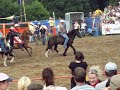 Rodeo Hilter 2008 Wildpferdreiten Erstes Go 3