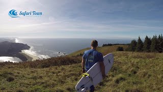 Experience The Oregon Coast Up Close & Personal! Things to do on the Oregon Coast.