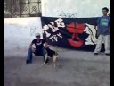 la gente de la union