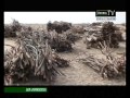 Click to View : Jt Dounia du 21 juillet 2014