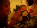 Sapo *-* Sapo *-*