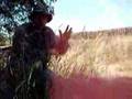 Tootie Bird Hunting