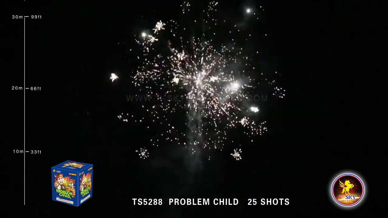 Problem Child TS5288