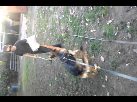 VID 20101010 175630