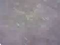 videos de con ruby en la plazaa