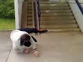3meter sprung @ ötlingen bahnhof