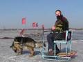 Harbin Heilongjiang China