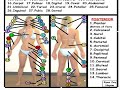 Anatomical Regions Anatomical Regions