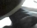 channelgerd shmam mojojenjen zero gerd domxiv gee others