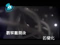 陳綺貞 - 魚 KTV