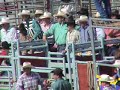 Horses Shocked at 2006 National High School Rodeo Finals
