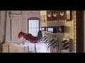  - MovieZen Video
