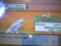 MY-POKEMON-PEARL-AND