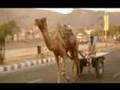 Travelogue - Jaipur