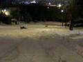 videos de the champ and blair sledding down the hill at 955 the game