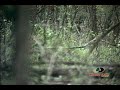 Mossy Oak- Is That a Turkey, No! It\ Mossy Oak- Is That a Turkey, No! It\