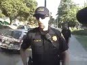 See Cop. See Cop Pop. Pop, Cop, Pop!