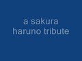 a haruno sakura tribute