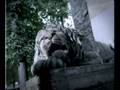 Lviv Legenda DirCut 37s mix