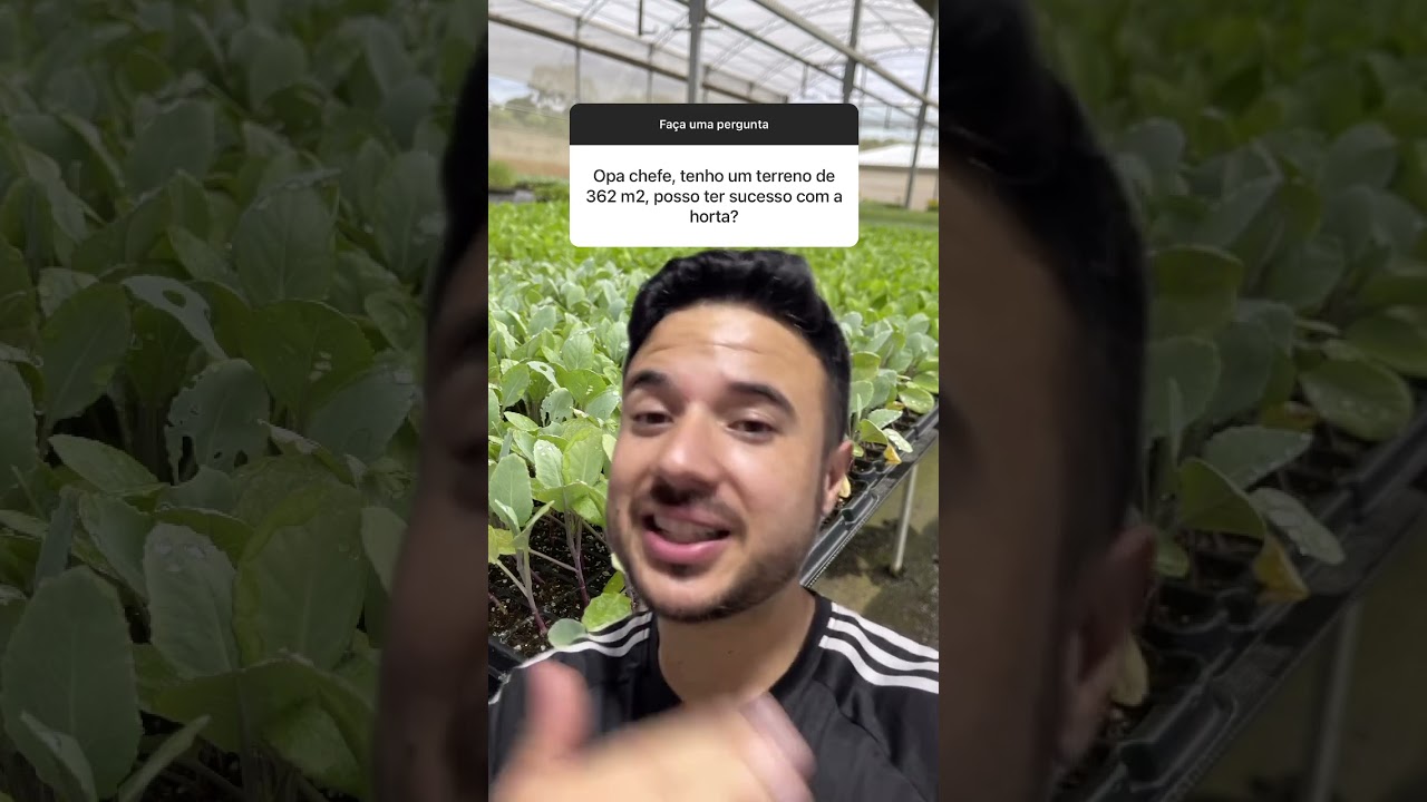 362 metros quadrados é viável produzir horta?