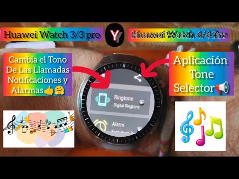 Descripci�n