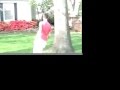 Cops - Red Shirt Arrest