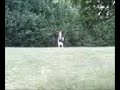 Tanner takes a trip down the hill at grandpa's house