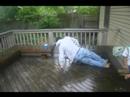 DeWayne Dance