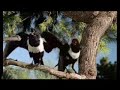 vetro-pulito spot