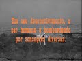 Fayga - Forma e Configuração Fayga - Forma e Configuração