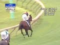 rahy's attorney wins the woodbine mile on sunday, september 7, 2008.