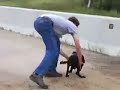 Dog Training Tip: Puppies Learn \"mark\" retrieve